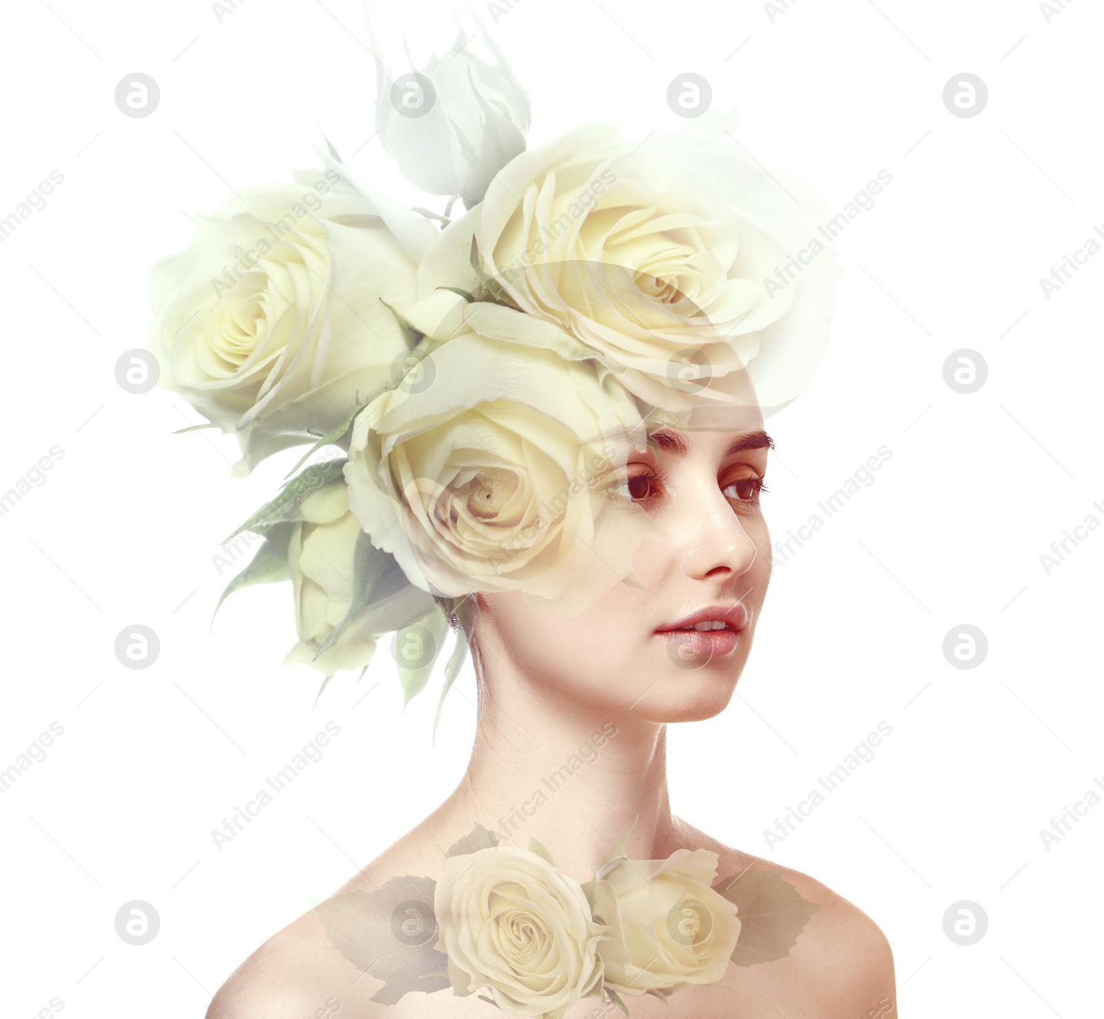 Attractive woman and beautiful roses on white background, double exposure Image of Attractive woman and beautiful roses on white background, double exposure