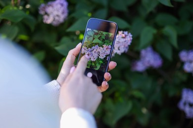 Photo of Woman using plant recognition application on smartphone outdoors, closeup