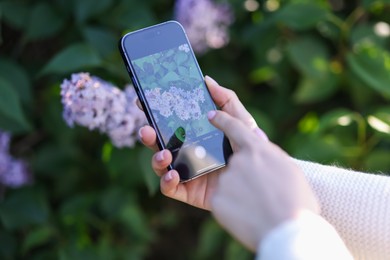 Photo of Woman using plant recognition application on smartphone outdoors, closeup