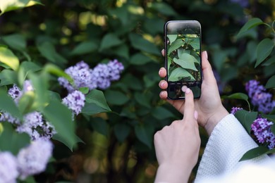 Photo of Woman using plant recognition application on smartphone outdoors, closeup