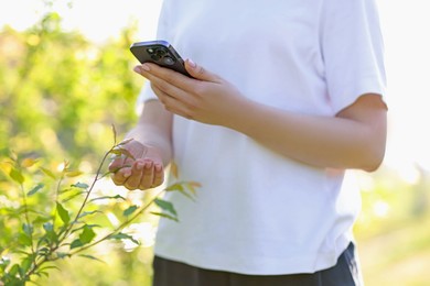 Photo of Woman using plant recognition application on smartphone outdoors, closeup