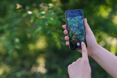Photo of Woman using plant recognition application on smartphone outdoors, closeup. Space for text
