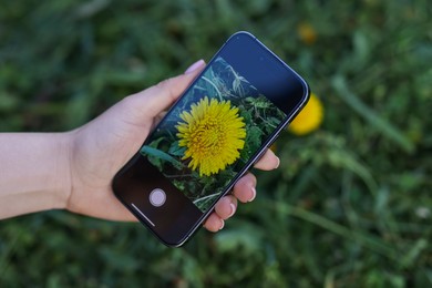 Photo of Woman using plant recognition application on smartphone outdoors, closeup