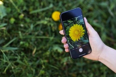 Photo of Woman using plant recognition application on smartphone outdoors, closeup. Space for text