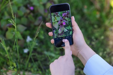 Photo of Woman using plant recognition application on smartphone outdoors, closeup