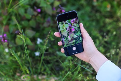 Photo of Woman using plant recognition application on smartphone outdoors, closeup