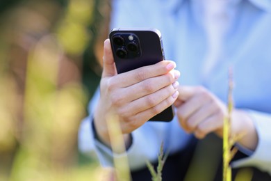 Photo of Woman using plant recognition application on smartphone outdoors on sunny day, closeup