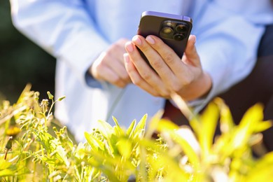 Photo of Woman using plant recognition application on smartphone outdoors on sunny day, closeup