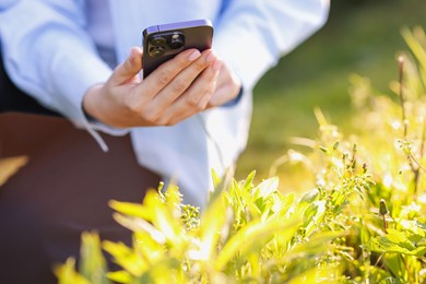 Photo of Woman using plant recognition application on smartphone outdoors on sunny day, closeup