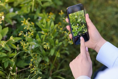 Photo of Woman using plant recognition application on smartphone outdoors, closeup