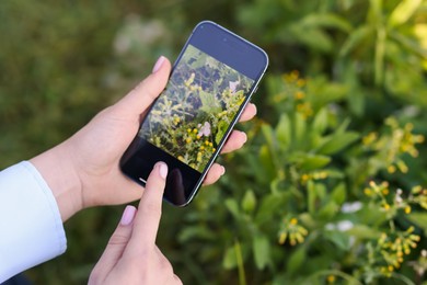 Photo of Woman using plant recognition application on smartphone outdoors, closeup