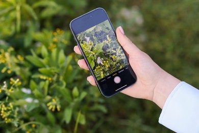 Photo of Woman using plant recognition application on smartphone outdoors, closeup