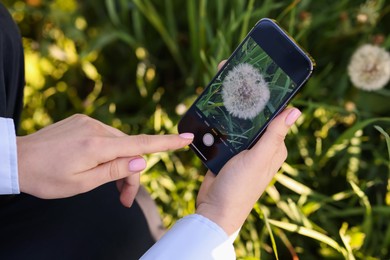 Photo of Woman using plant recognition application on smartphone outdoors, closeup