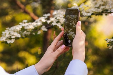 Photo of Woman using plant recognition application on smartphone outdoors, closeup