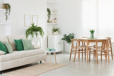 Photo of Comfortable sofa, table, chairs and green houseplants indoors. Interior design