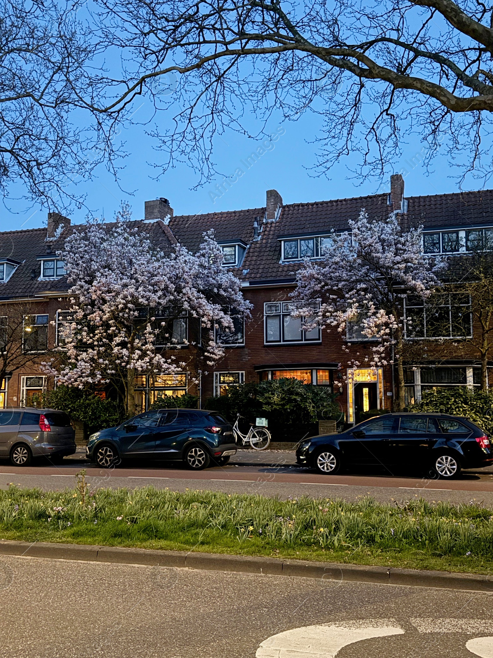 Picturesque view of building, blooming trees and parked cars in city Photo of Picturesque view of building, blooming trees and parked cars in city
