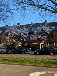 Photo of Picturesque view of building, blooming trees and parked cars in city