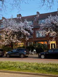 Photo of Picturesque view of building, blooming trees and parked cars in city