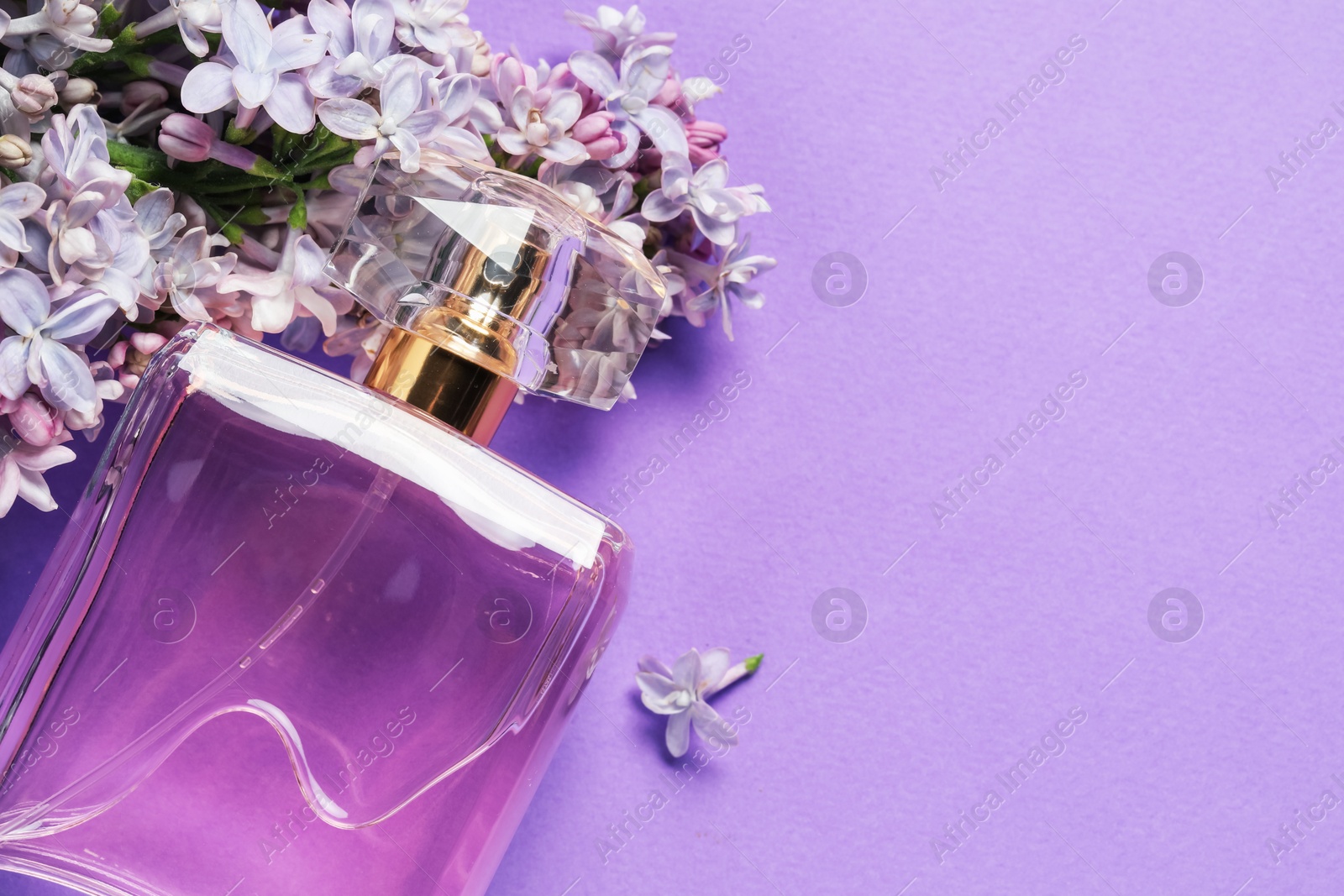 Bottle with perfume and lilac flowers on violet background, above view. Space for text Photo of Bottle with perfume and lilac flowers on violet background, above view. Space for text