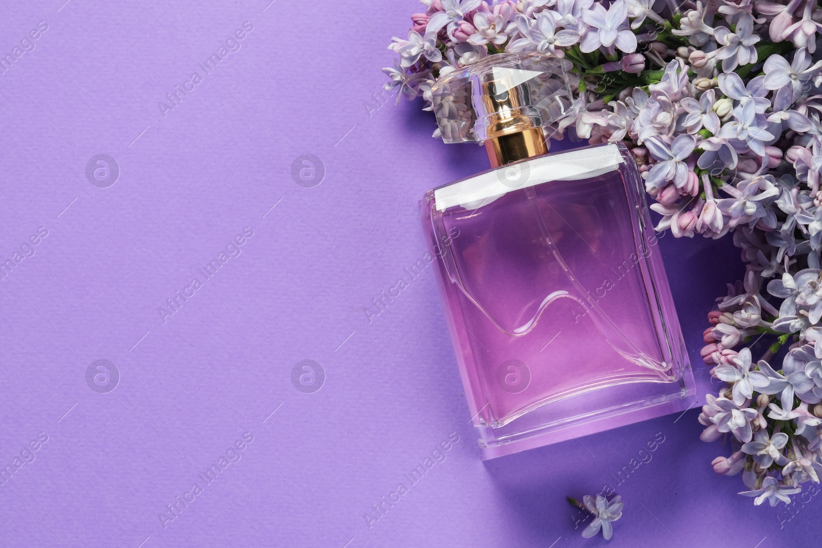 Bottle with perfume and lilac flowers on violet background, flat lay. Space for text Photo of Bottle with perfume and lilac flowers on violet background, flat lay. Space for text