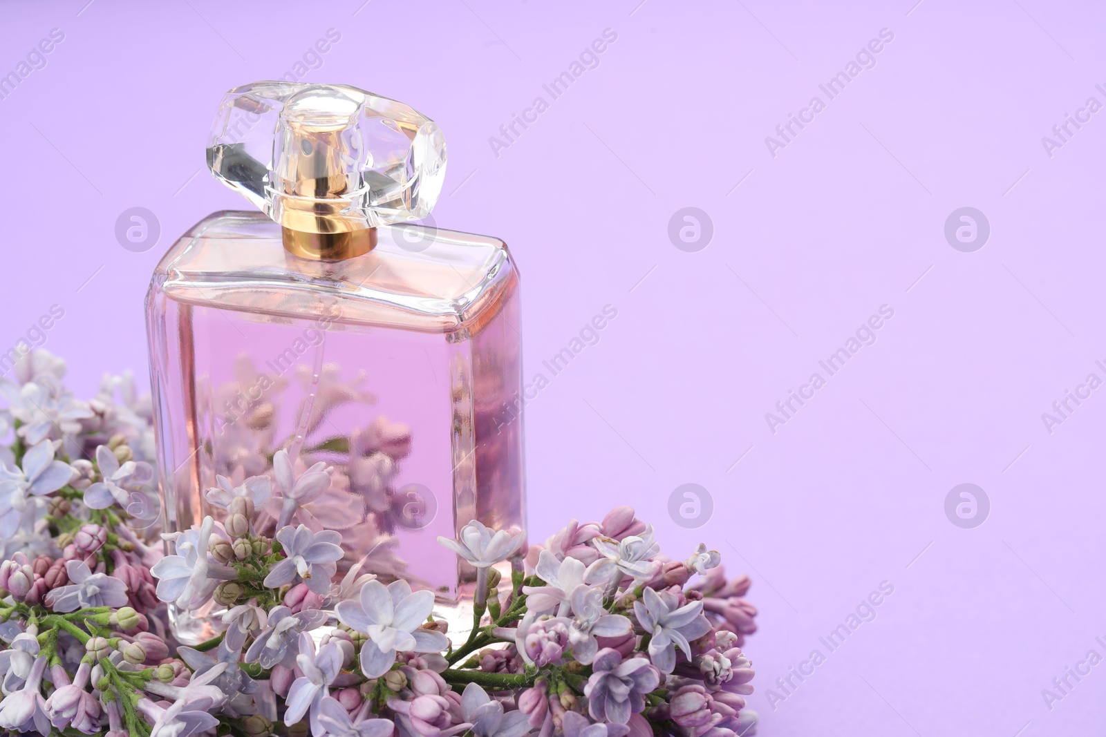 Bottle with perfume and lilac flowers on violet background, closeup. Space for text Photo of Bottle with perfume and lilac flowers on violet background, closeup. Space for text