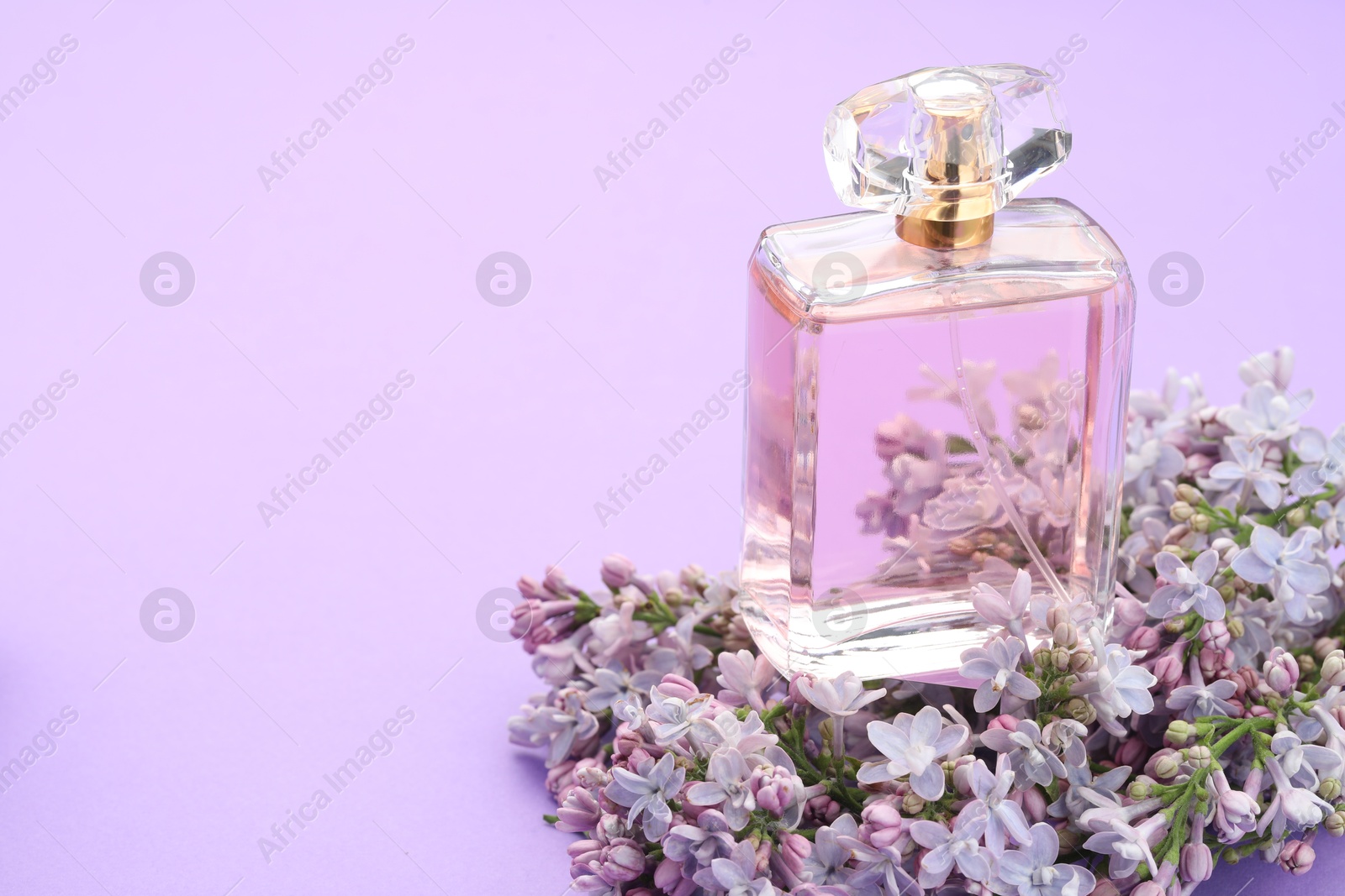 Bottle with perfume and lilac flowers on violet background, closeup. Space for text Photo of Bottle with perfume and lilac flowers on violet background, closeup. Space for text