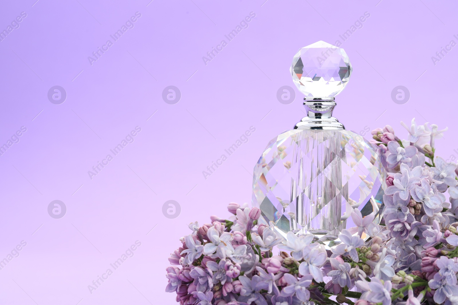 Bottle with perfume and lilac flowers on violet gradient background, closeup. Space for text Photo of Bottle with perfume and lilac flowers on violet gradient background, closeup. Space for text