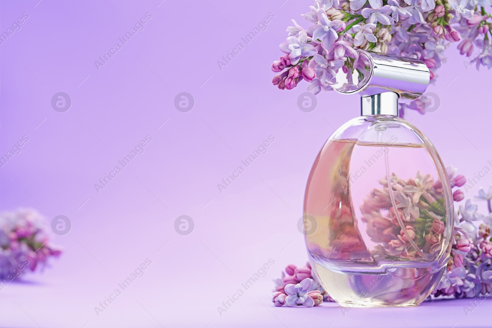 Bottle with perfume and lilac flowers on violet gradient background, closeup. Space for text Photo of Bottle with perfume and lilac flowers on violet gradient background, closeup. Space for text