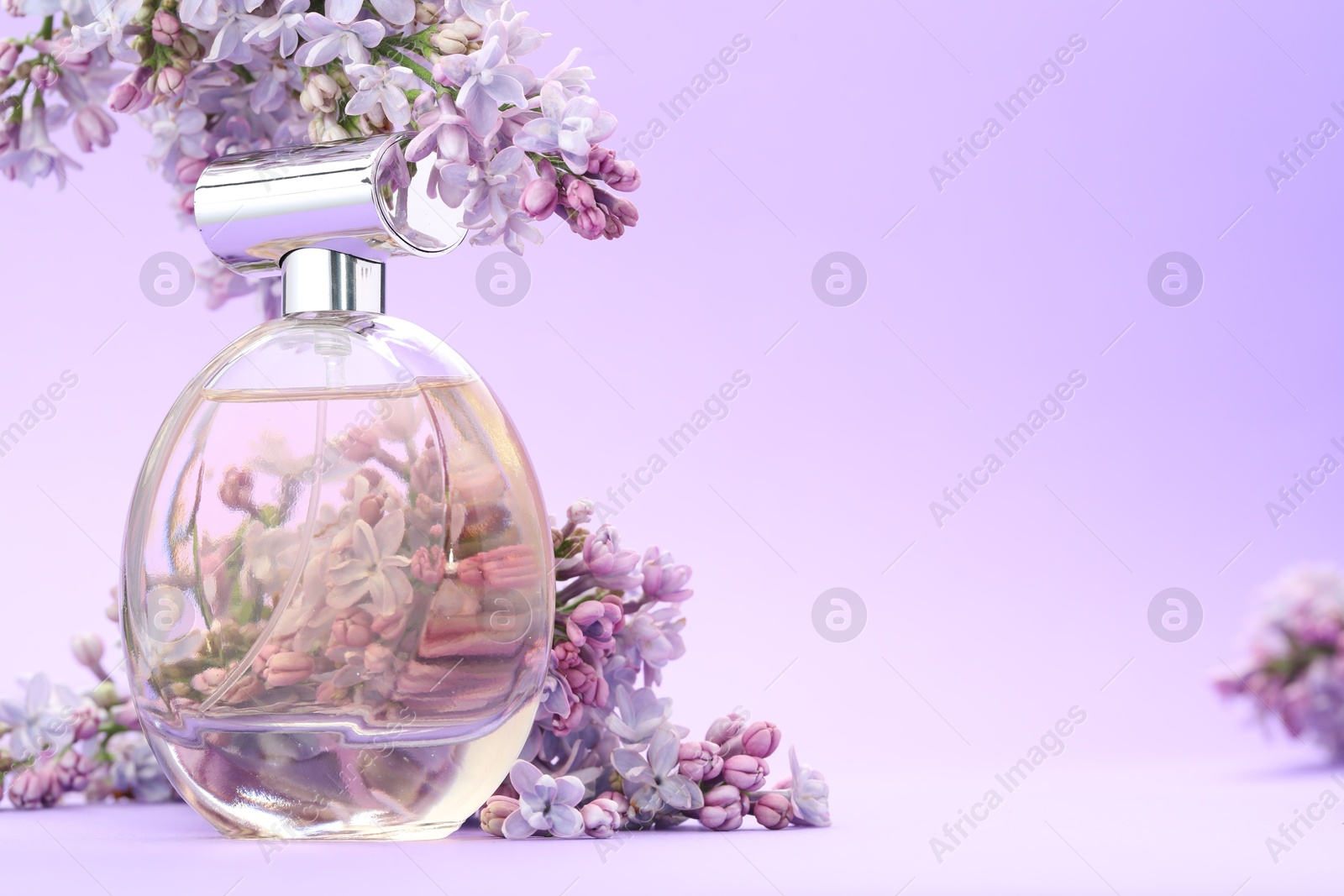 Bottle with perfume and lilac flowers on violet gradient background, closeup. Space for text Photo of Bottle with perfume and lilac flowers on violet gradient background, closeup. Space for text