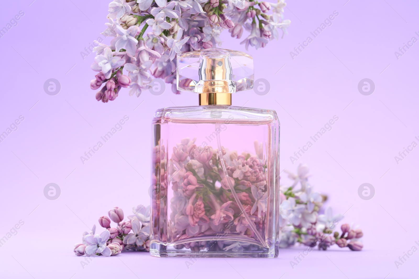 Bottle with perfume and lilac flowers on violet gradient background, closeup Photo of Bottle with perfume and lilac flowers on violet gradient background, closeup