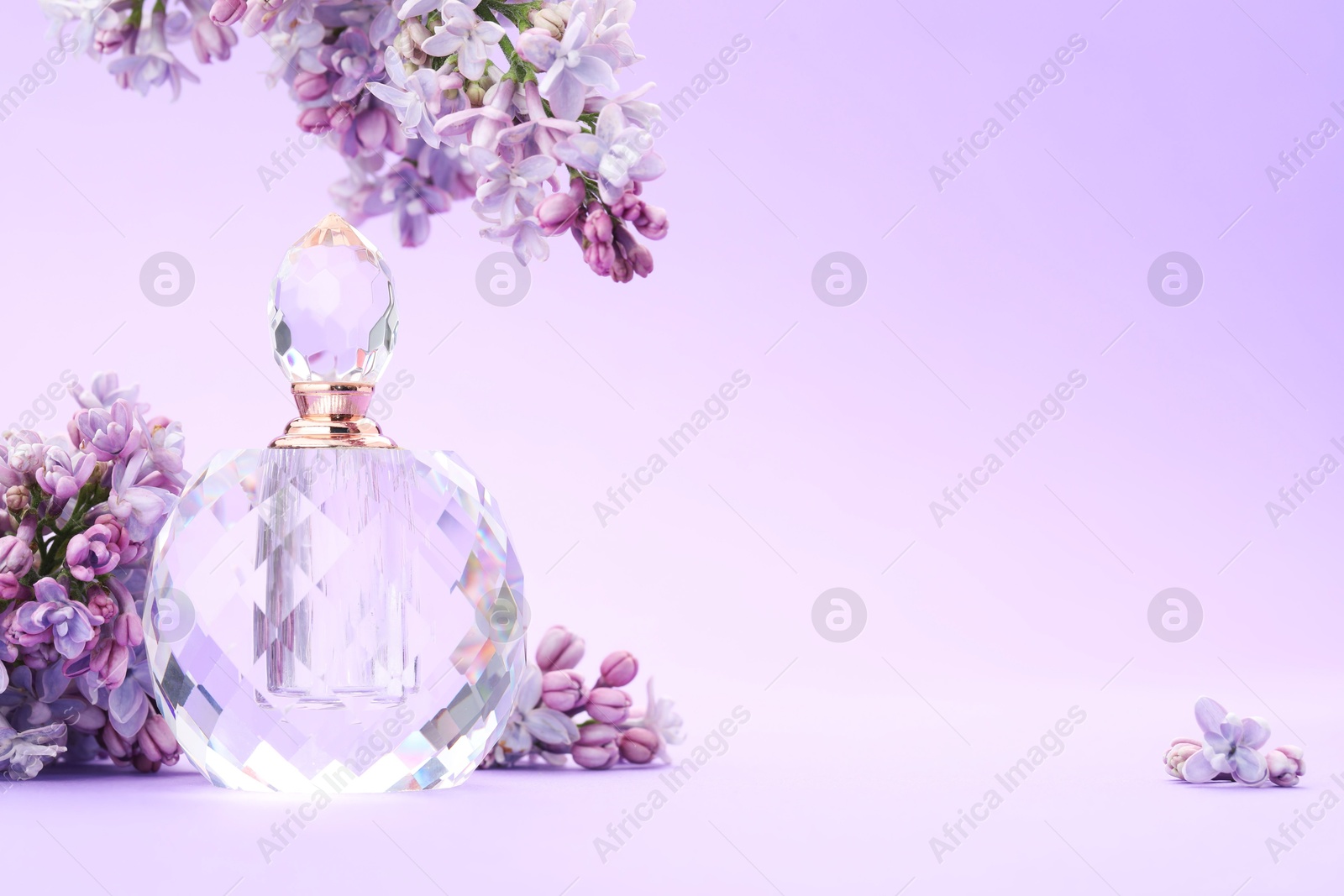 Bottle with perfume and lilac flowers on violet gradient background, closeup. Space for text Photo of Bottle with perfume and lilac flowers on violet gradient background, closeup. Space for text