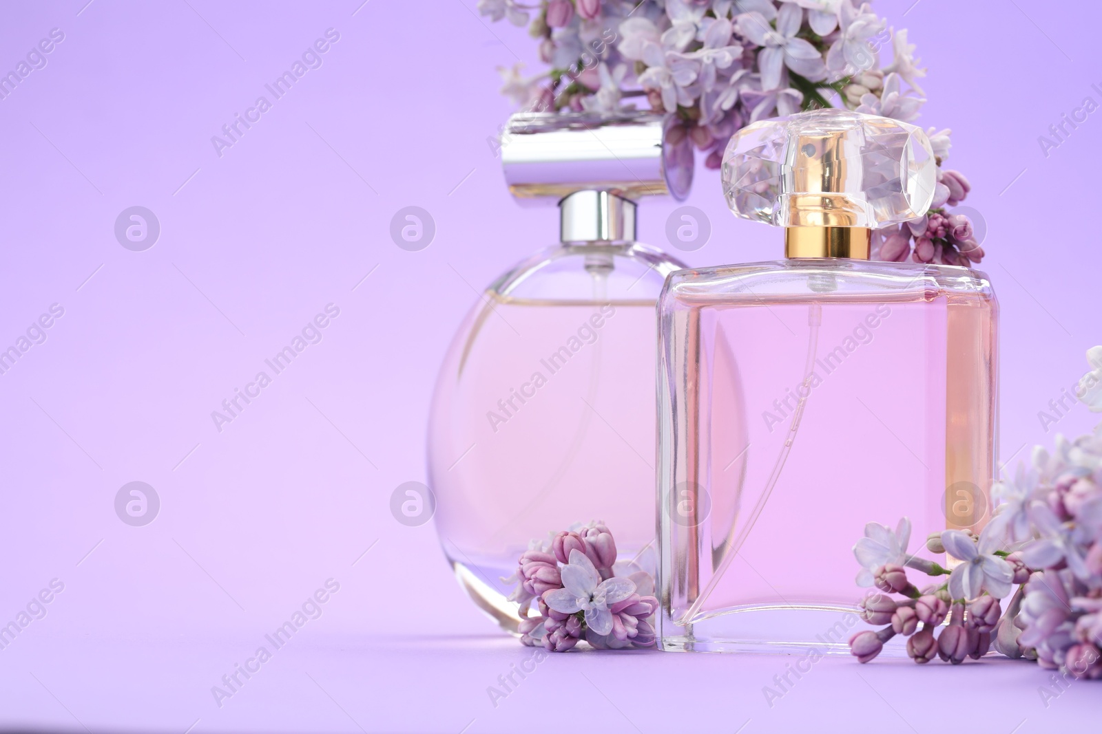 Bottles with perfumes and lilac flowers on violet background, closeup. Space for text Photo of Bottles with perfumes and lilac flowers on violet background, closeup. Space for text