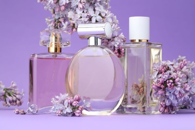 Photo of Bottles with perfumes and lilac flowers on purple gradient background, closeup