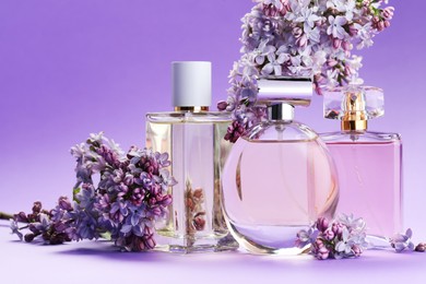 Photo of Bottles with perfumes and lilac flowers on purple gradient background, closeup