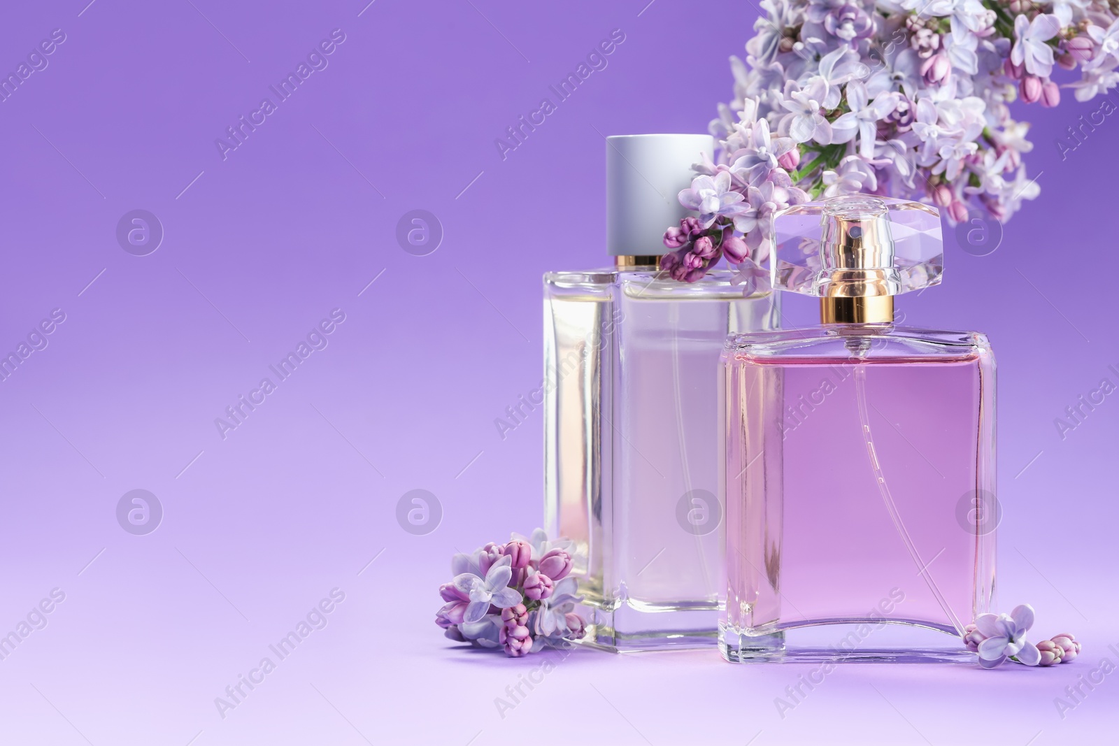 Bottles with perfumes and lilac flowers on purple gradient background, closeup. Space for text Photo of Bottles with perfumes and lilac flowers on purple gradient background, closeup. Space for text