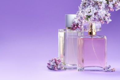 Photo of Bottles with perfumes and lilac flowers on purple gradient background, closeup. Space for text
