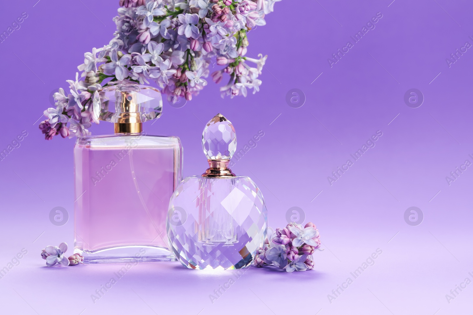 Bottles with perfumes and lilac flowers on purple gradient background, closeup. Space for text Photo of Bottles with perfumes and lilac flowers on purple gradient background, closeup. Space for text