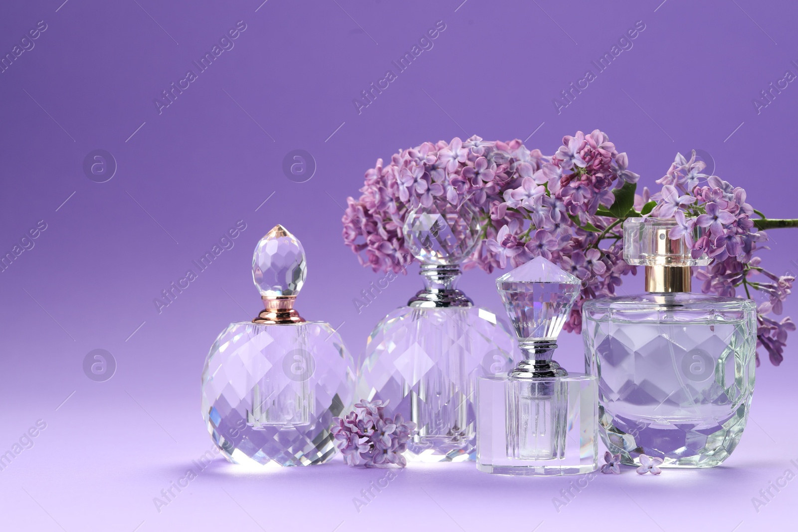 Bottles of perfumes and branch with lilac flowers on purple gradient background, closeup Photo of Bottles of perfumes and branch with lilac flowers on purple gradient background, closeup