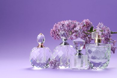 Photo of Bottles of perfumes and branch with lilac flowers on purple gradient background, closeup