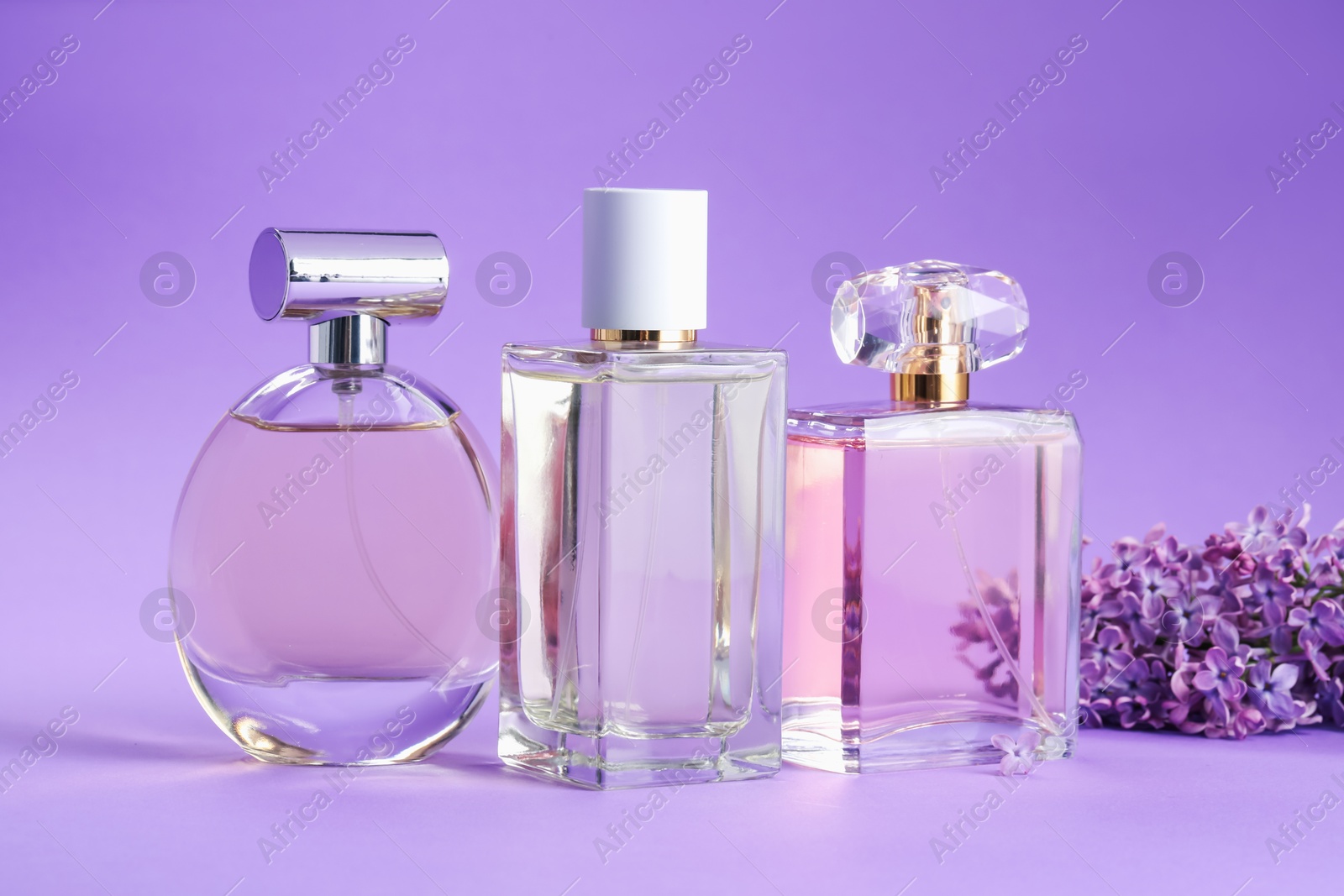 Bottles with perfumes and lilac flowers on purple gradient background, closeup Photo of Bottles with perfumes and lilac flowers on purple gradient background, closeup