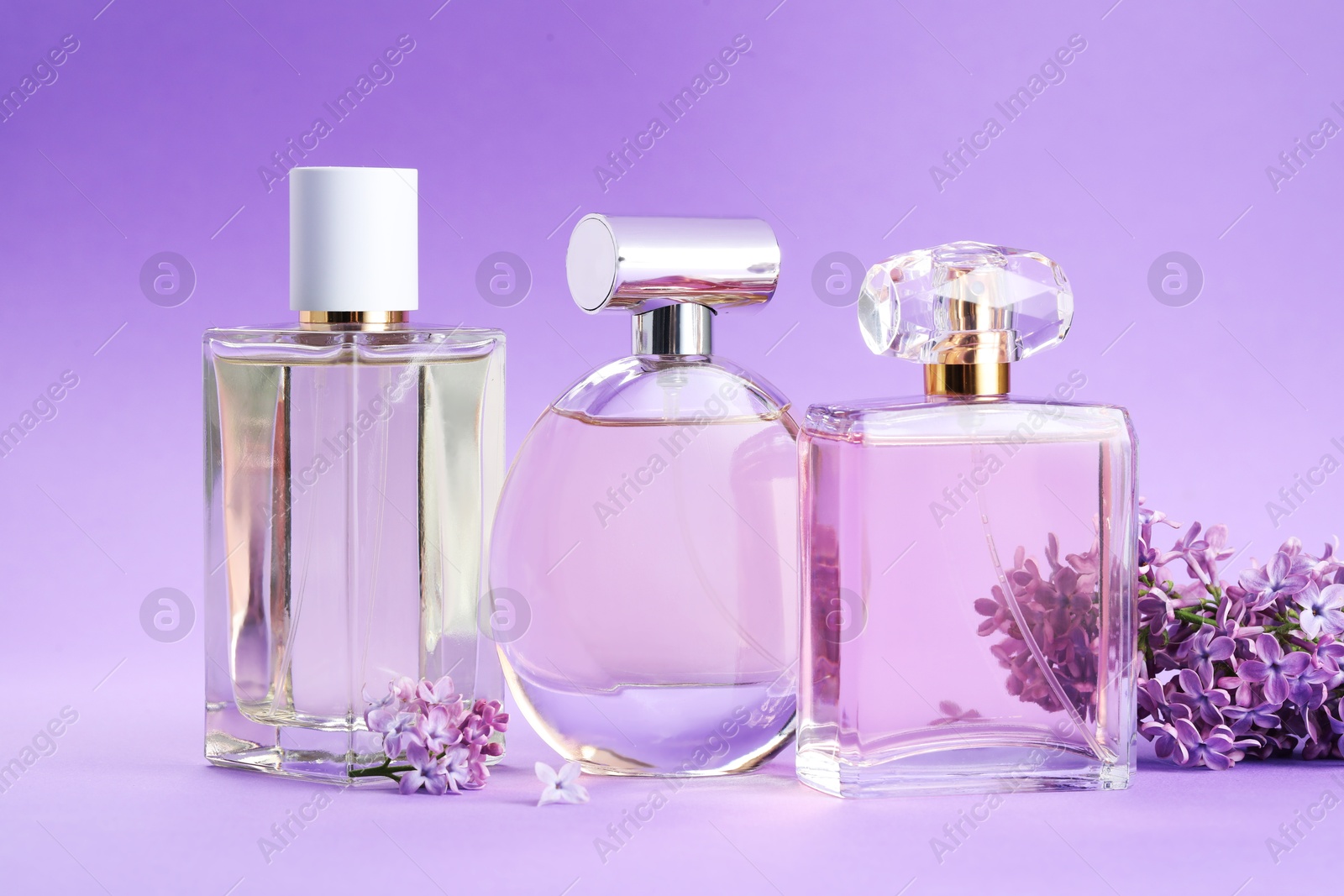 Bottles with perfumes and lilac flowers on purple gradient background, closeup Photo of Bottles with perfumes and lilac flowers on purple gradient background, closeup