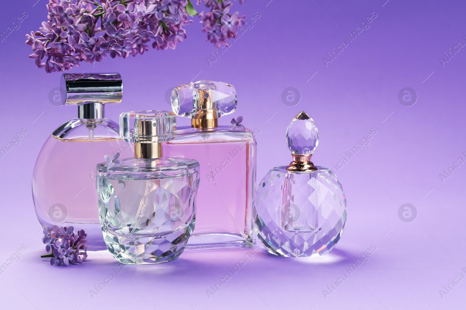 Bottles with perfumes and lilac flowers on purple gradient background, closeup Photo of Bottles with perfumes and lilac flowers on purple gradient background, closeup