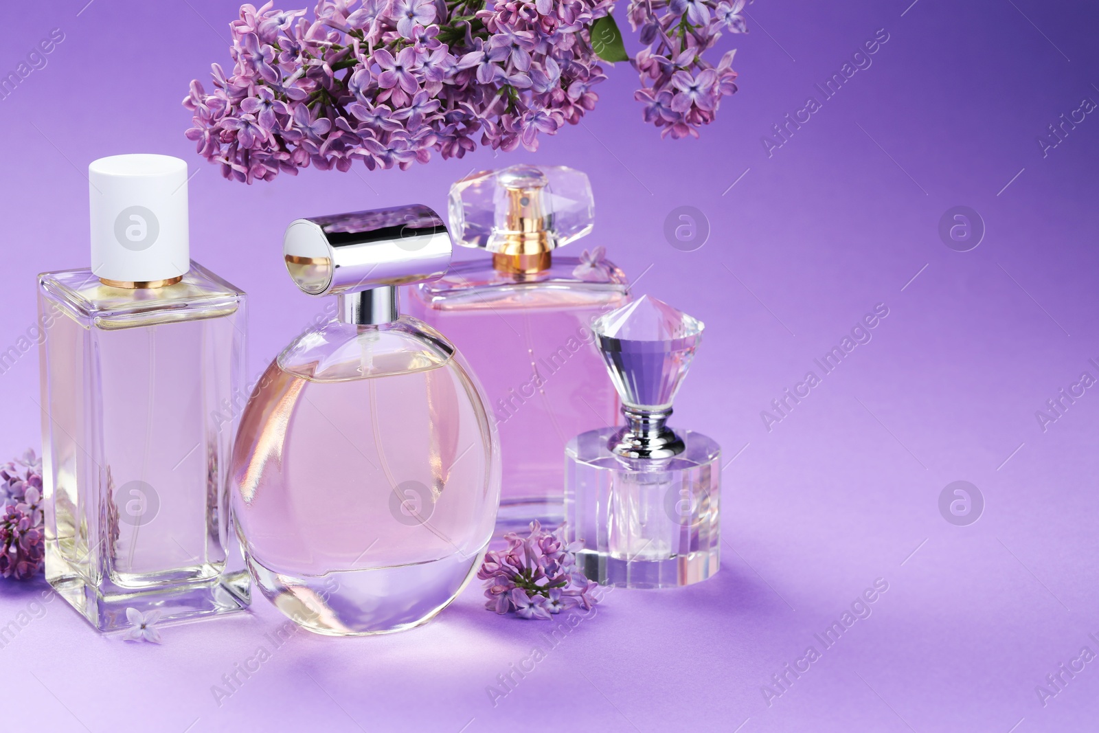 Bottles with perfumes and lilac flowers on purple gradient background, closeup. Space for text Photo of Bottles with perfumes and lilac flowers on purple gradient background, closeup. Space for text