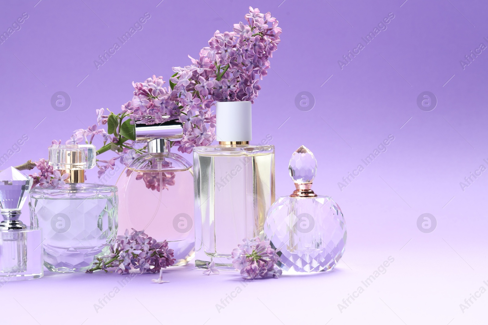 Bottles with perfumes and lilac flowers on purple gradient background, closeup. Space for text Photo of Bottles with perfumes and lilac flowers on purple gradient background, closeup. Space for text