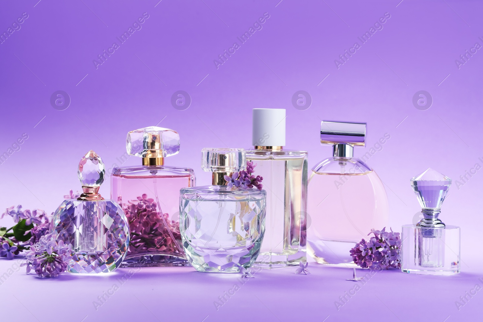 Bottles with perfumes and lilac flowers on purple gradient background, closeup Photo of Bottles with perfumes and lilac flowers on purple gradient background, closeup