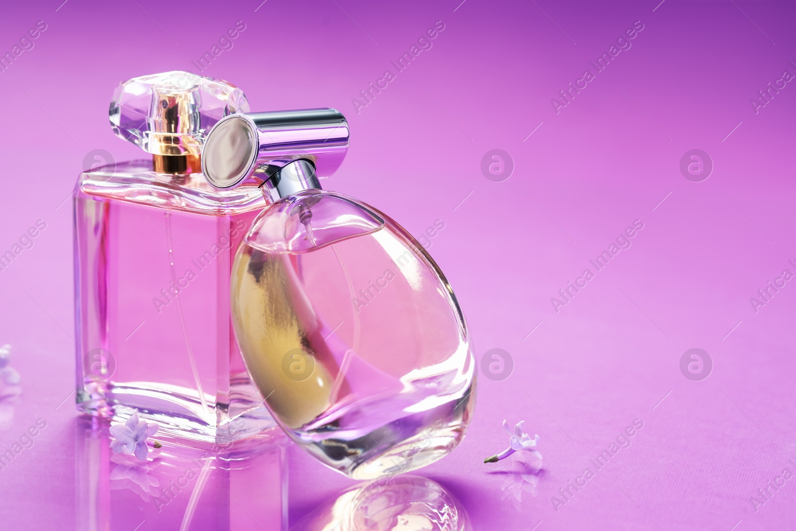 Bottles with perfumes and lilac flowers on mirror surface against color gradient background, closeup. Space for text Photo of Bottles with perfumes and lilac flowers on mirror surface against color gradient background, closeup. Space for text