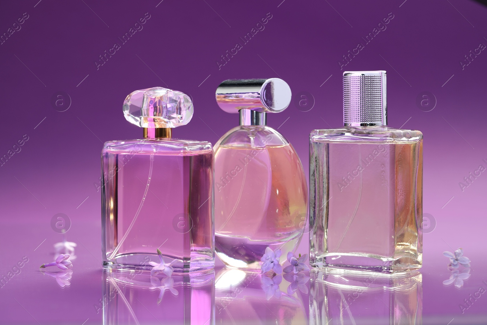 Bottles with perfumes and lilac flowers on mirror surface against color gradient background, closeup Photo of Bottles with perfumes and lilac flowers on mirror surface against color gradient background, closeup