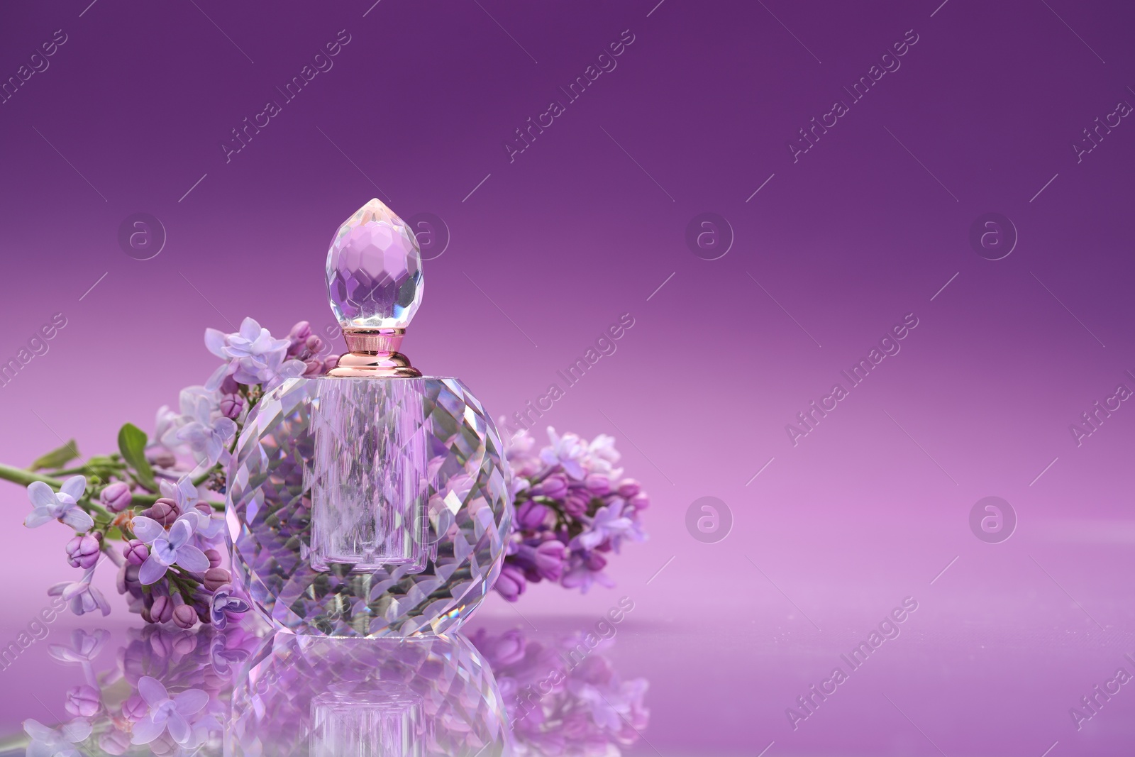 Bottle of perfume and branch with lilac flowers on mirror surface against color gradient background, closeup. Space for text Photo of Bottle of perfume and branch with lilac flowers on mirror surface against color gradient background, closeup. Space for text
