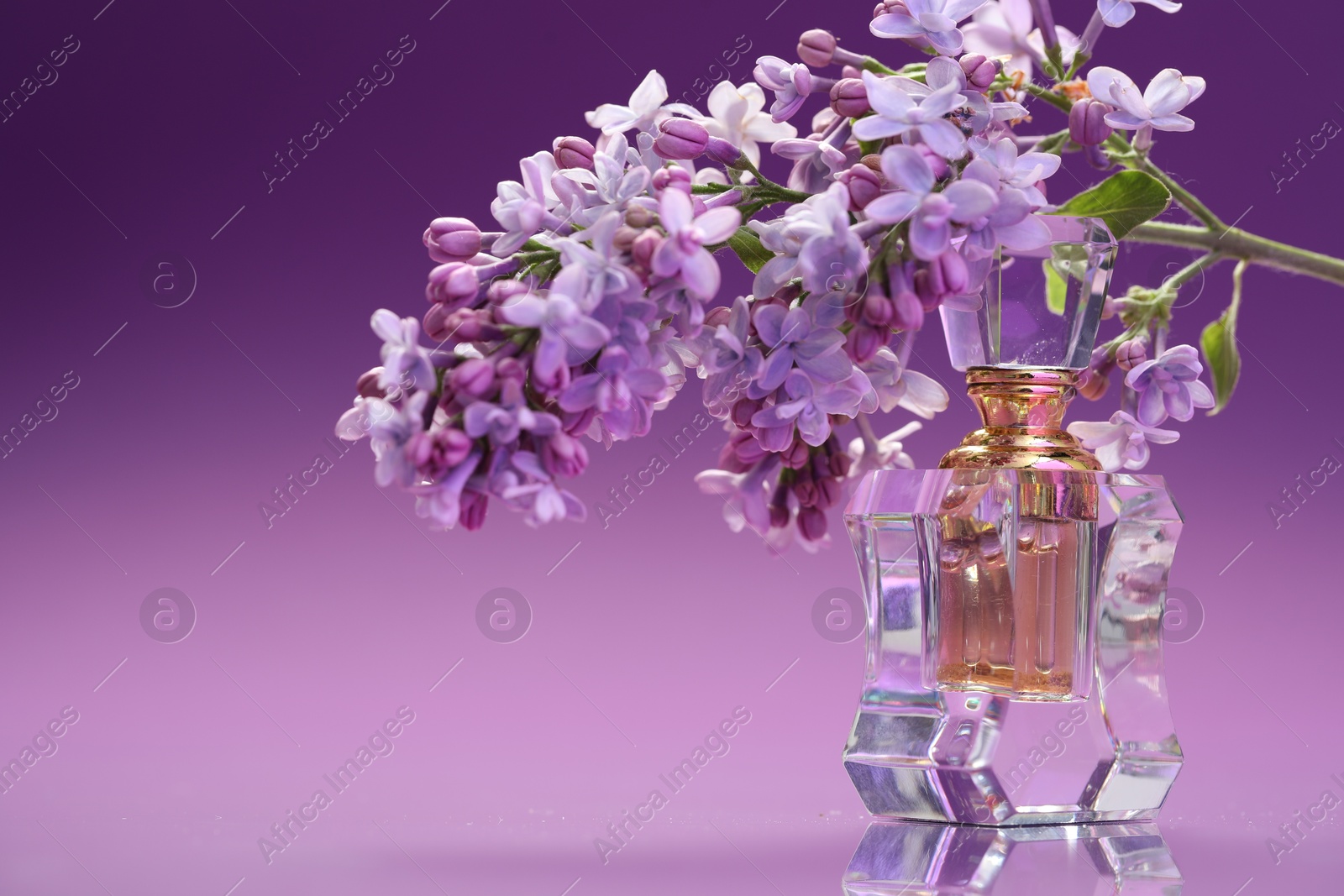 Bottle of perfume and branch with lilac flowers on mirror surface against color gradient background, closeup. Space for text Photo of Bottle of perfume and branch with lilac flowers on mirror surface against color gradient background, closeup. Space for text