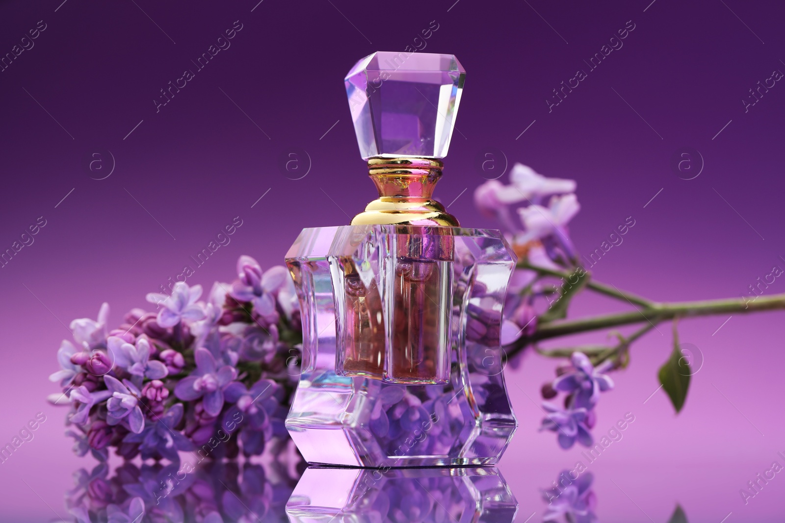 Bottle of perfume and branch with lilac flowers on mirror surface against color gradient background, closeup Photo of Bottle of perfume and branch with lilac flowers on mirror surface against color gradient background, closeup
